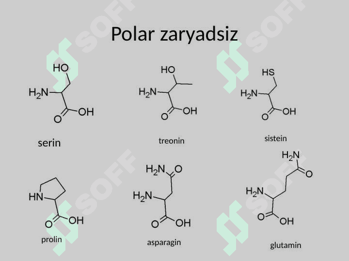 Oqsillarning tuzilishi, xossalari va funksiyalarining xilma-xilligi 8