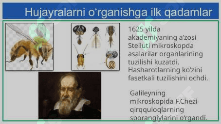 Hujayrani o‘rganish tarixi va hujayra nazariyasi 4