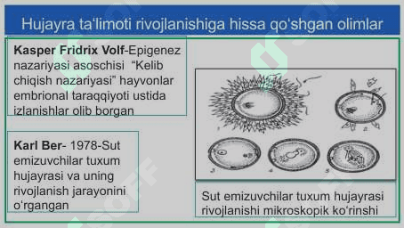Hujayrani o‘rganish tarixi va hujayra nazariyasi 8