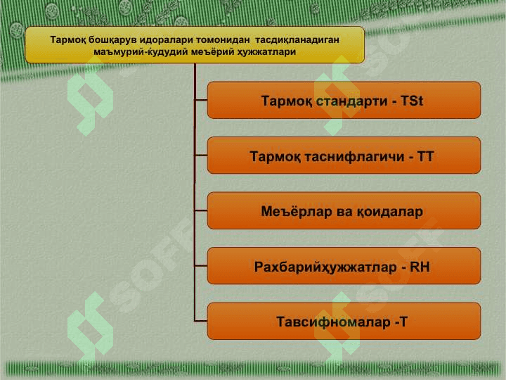 СТАНДАРТЛАШНИ КАТЕГОРИЯЛАРИ ВА ТУРЛАРИ 6
