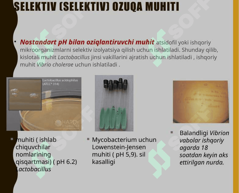 Mikroorganizmlarning NAFAS OLISHI 8