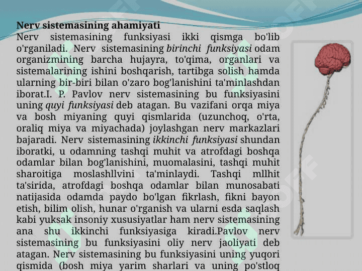 Organizmning o`sishi va rivojlanishiga ta`sir etuvchi faktorlar 4