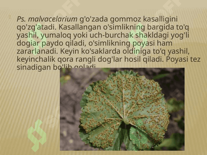 Patogen mikroorganizmlar 8