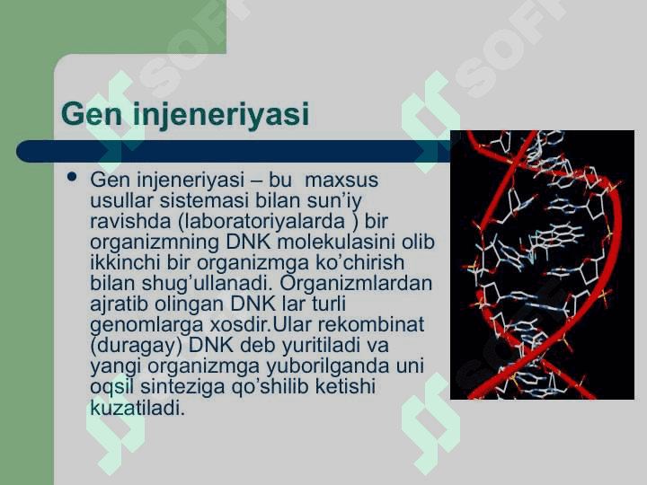Rekombinat dnk olish va gen injenerligi 2