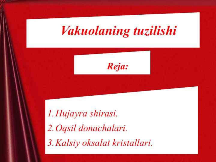 Vakuolaning tuzilishi 1