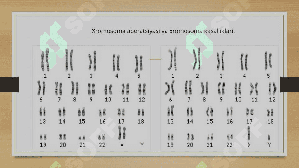 Xromosoma abberatsiyalari yoki qayta tuzilishlari 4