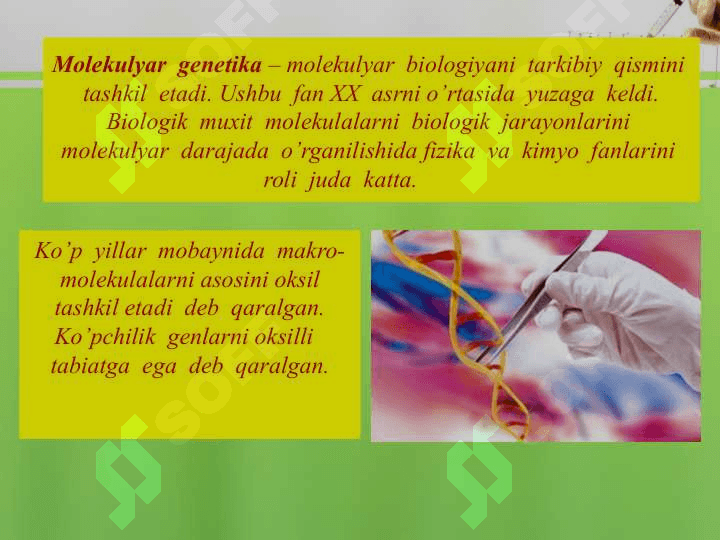 Yashash uchun kurash va tabiiy tanlanish (2) 4