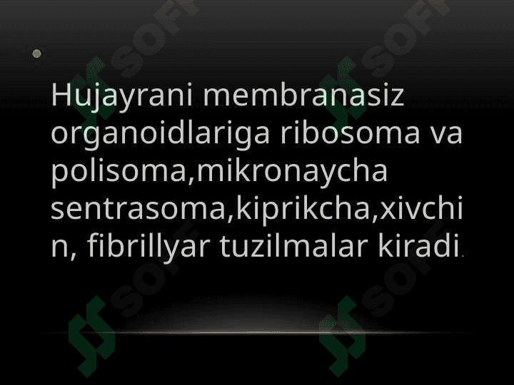 Ribosoma 3