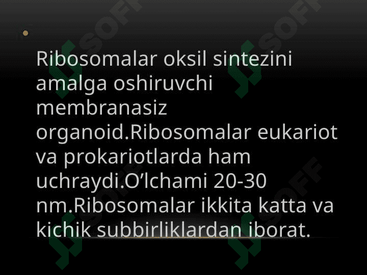Ribosoma 4