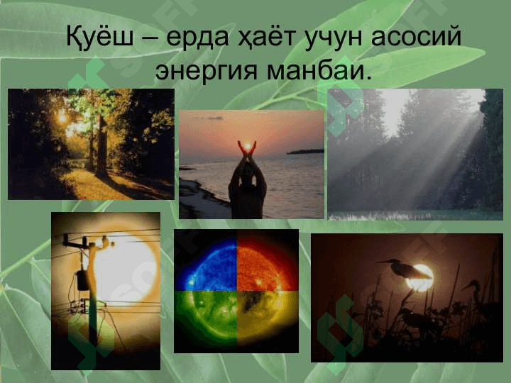 Фотосинтез 3