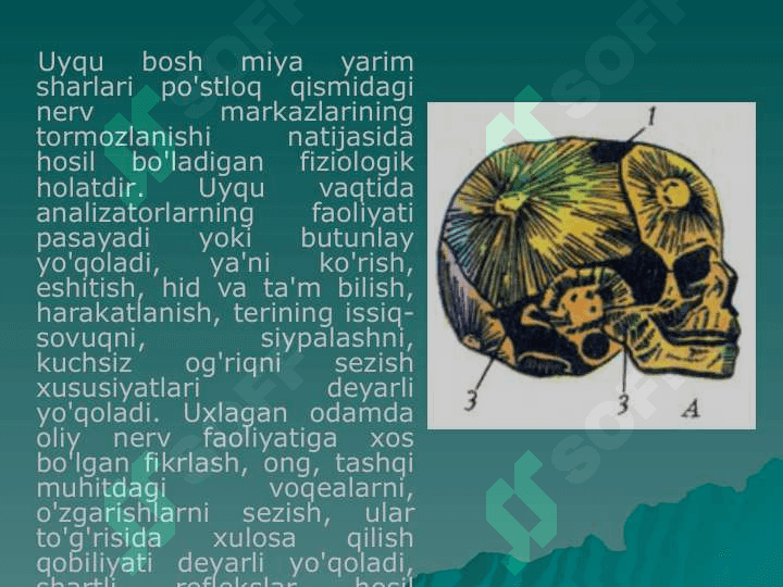 Uyqu va tush ko’rish gigenasi 3