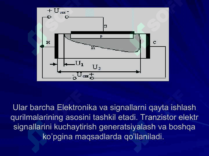 MAYDONLI TRANZISTOR 3