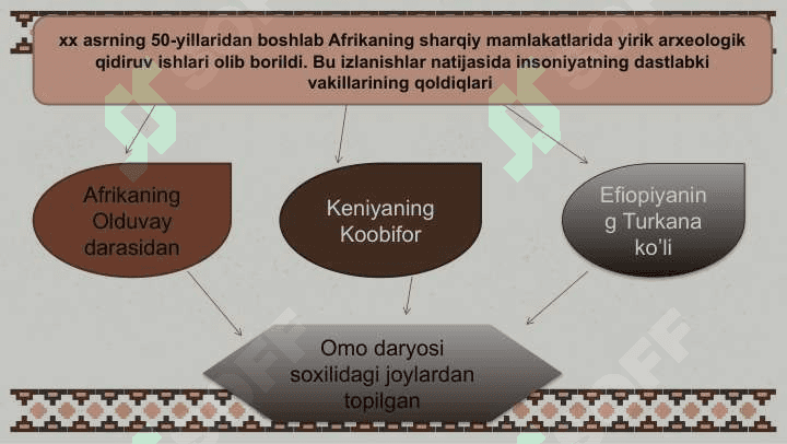 Zamonaviy evolyutsiya teoriyalari 6