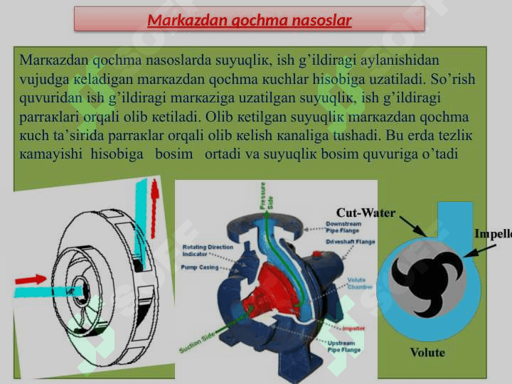 Nasos stansiyasining asosiy gidromexanik va energetik jixozlarini tanlash 3