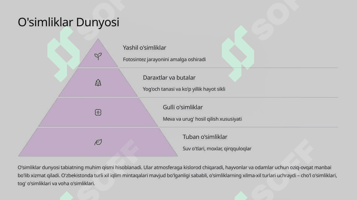Jonli va Jonsiz Tabiat Olami 4