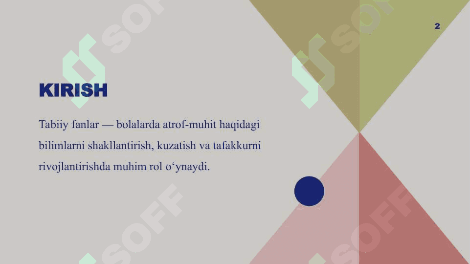 Boshlang'ich ta'lim tabiiy fanlarni o'qitishning didaktik tamoillarini o'ganish 2