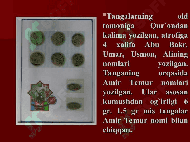 Amir Temur 6