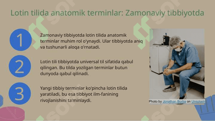 Lotin tilida moslashgan anotomik terminlar 7