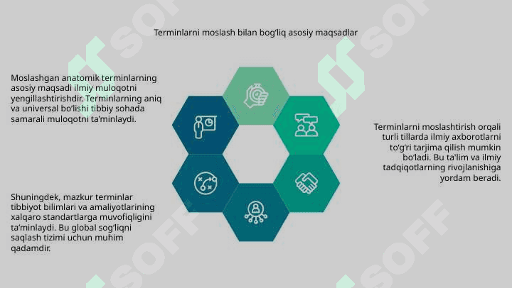Moslashgan anatomik terminlar 4