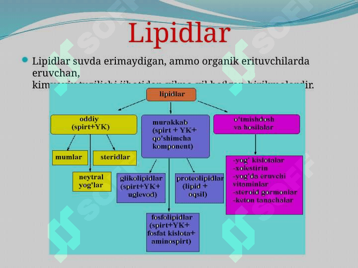 Lipidlаr. Tuzilishi, funksiyasi vа metаbolizmi 2