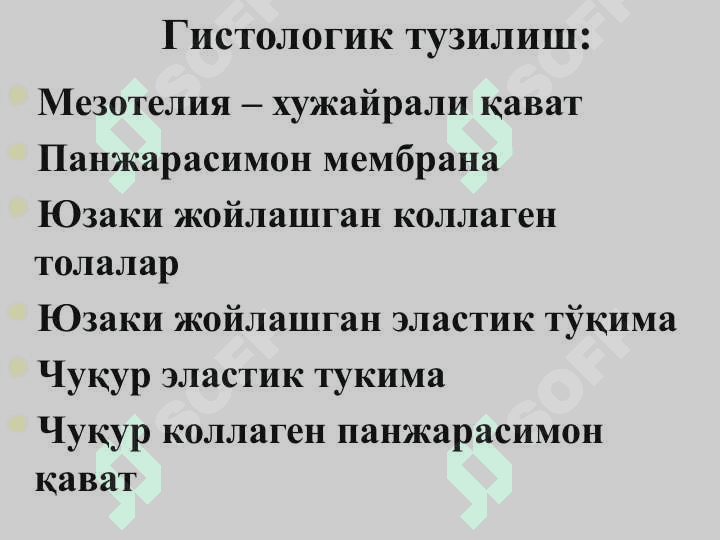 Сил плеврити 3