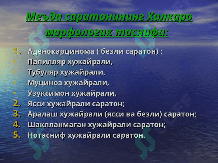 МЕЪДА САРАТОНИ 8