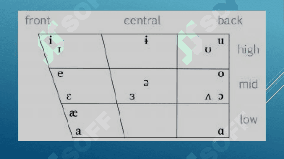 THE PRINCIPLES OF THE CLASSIFICATION OF CONSONANT PHONEMES 3