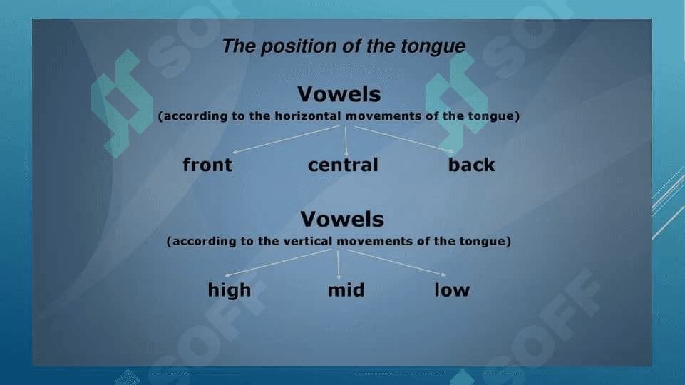 THE PRINCIPLES OF THE CLASSIFICATION OF CONSONANT PHONEMES 4