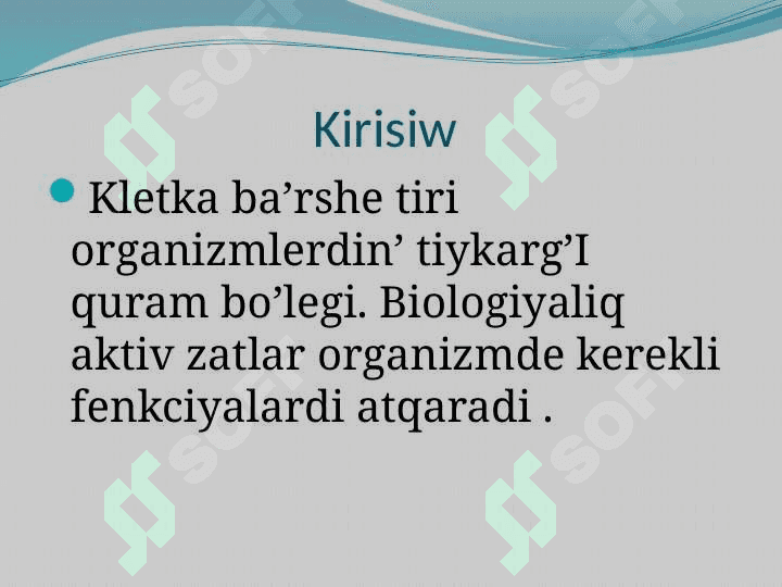Kletka biologiyaliq aktiv zatlar ,vitaminler ha’m garmonlar 3