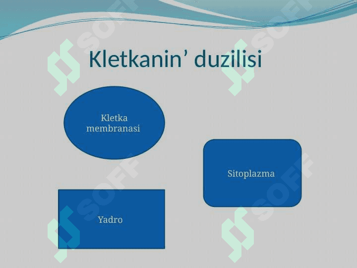 Kletka biologiyaliq aktiv zatlar ,vitaminler ha’m garmonlar 4