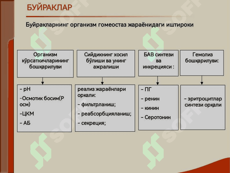 БУЙРАК КАСАЛЛИГИ БИЛАН ОҒРИГАН БЕМОРЛАРНИ ТЕКШИРИШ. АСОСИЙ КЛИНИК СИНДРОМЛАР. БУЙРАК ЕТИШМОВЧИЛИГИ 3