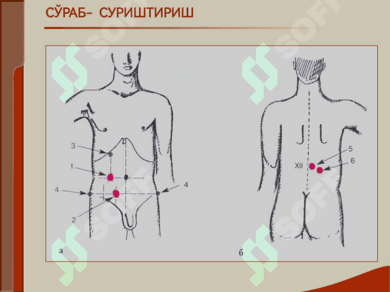 БУЙРАК КАСАЛЛИГИ БИЛАН ОҒРИГАН БЕМОРЛАРНИ ТЕКШИРИШ. АСОСИЙ КЛИНИК СИНДРОМЛАР. БУЙРАК ЕТИШМОВЧИЛИГИ 6