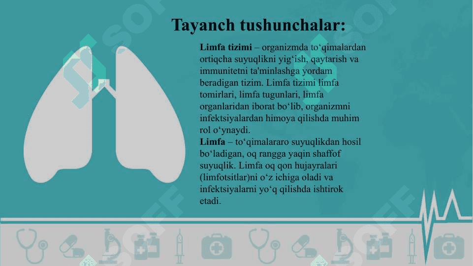 Limfa tizimining fiziologiyasi. Taloqning funksiyasi 4