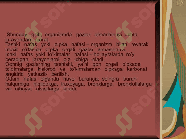Bolalarda nafas olish sistemasi fiziologiyasi. 4