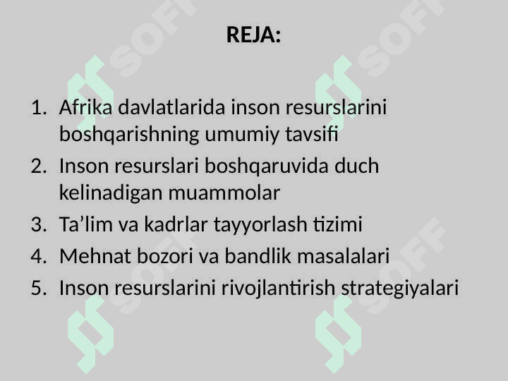 Afrika davlatlarida inson resurslarini boshqarish.pptx 2
