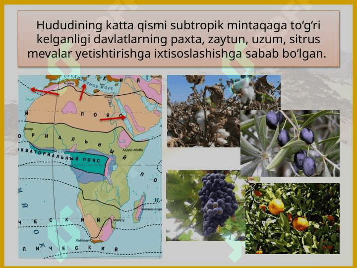 Afrika davlatlarida inson resurslarini boshqarish.pptx 8