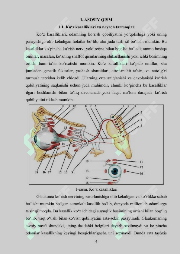 Sun’iy intellekt usullari yordamida ko‘z kasalliklarini aniqlash dasturini ishlab chiqish 4