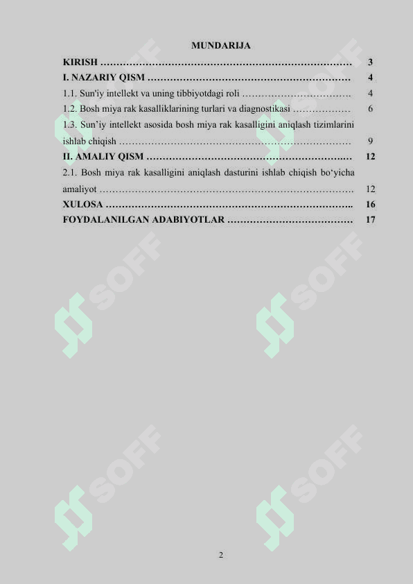 Sun’iy intellekt dasturiy vositalari asosida bosh miya rak kasalligini aniqlash dasturini ishlab chiqish 2