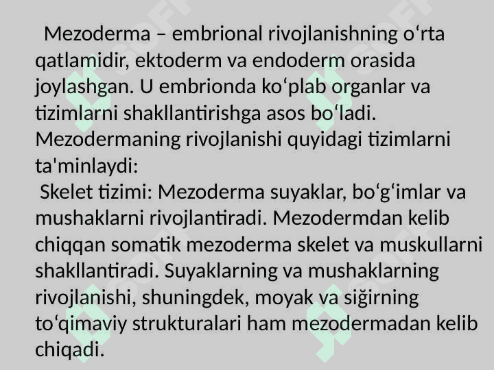 Mezoderma va uning   hosilalari 2