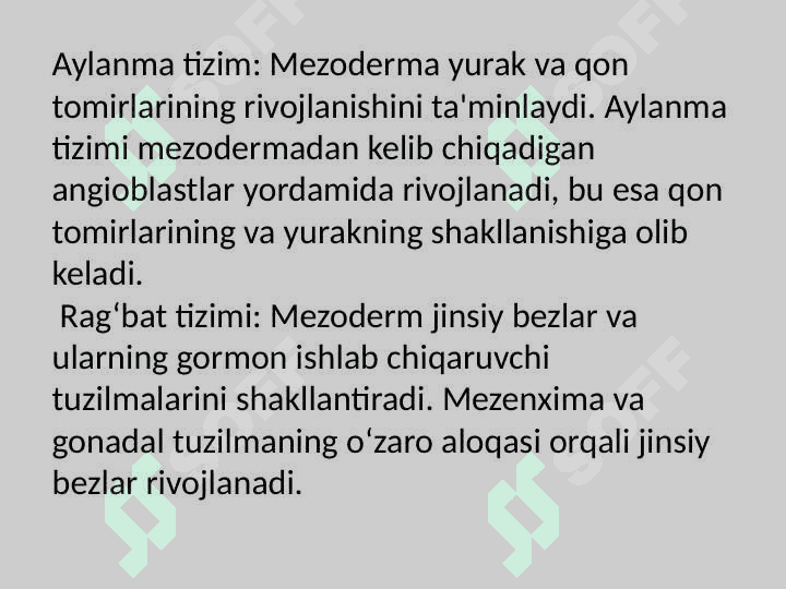 Mezoderma va uning   hosilalari 3