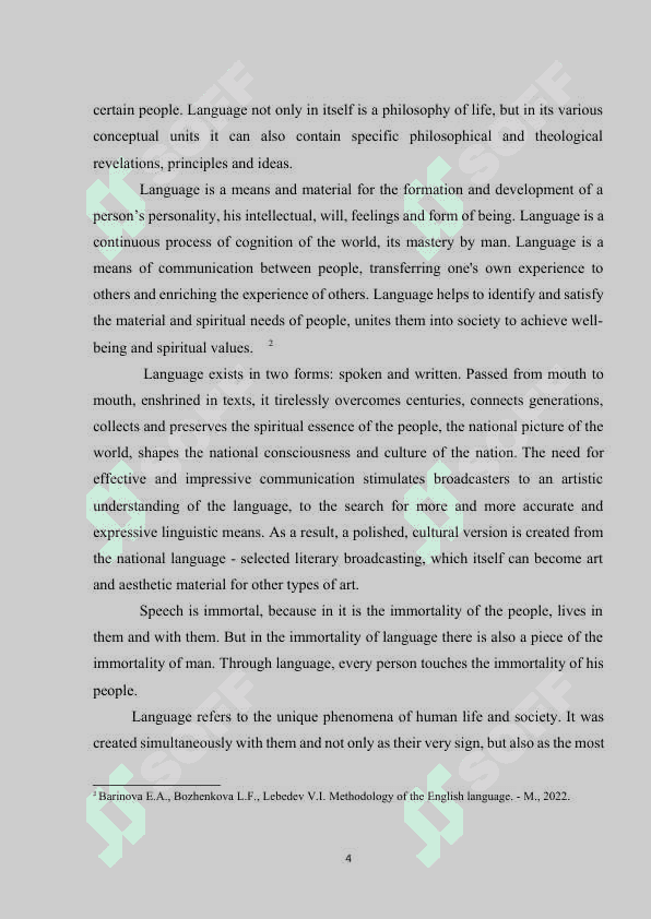 The relationship between language and society 3