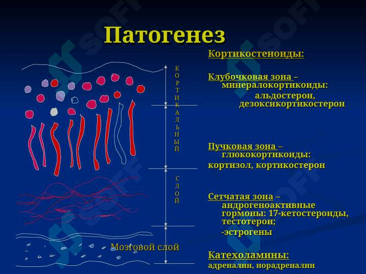 «Синдром Иценко-Кушинга». 7