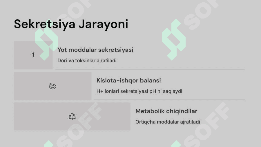 Ayiruv sistemasi. Buyraklar fiziologiyasi 7