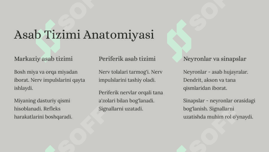 Orqa miya reflector va o`tkazuvchi yo`l faoliyati, tekshirish usullari. Uzunchoq miya va o`rta miya. 2
