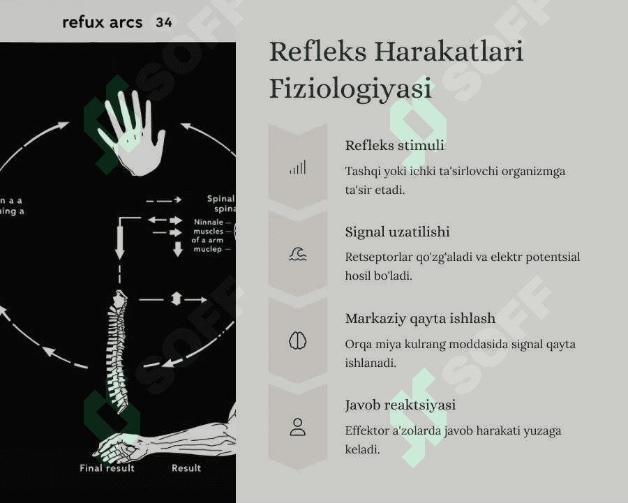 Orqa miya reflector va o`tkazuvchi yo`l faoliyati, tekshirish usullari. Uzunchoq miya va o`rta miya. 4