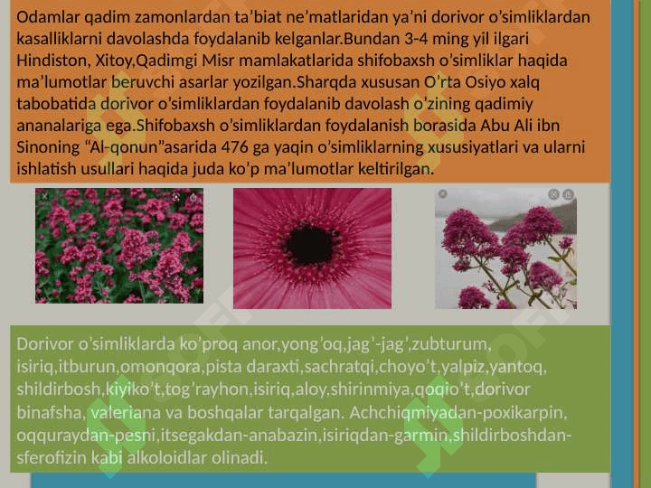 O’zbekistonning foydali o’simliklari. 5