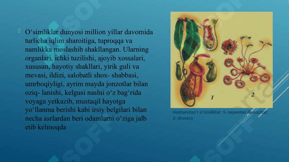 GULLI O’SIMLIKLARNING KELIB CHIQISHI 2