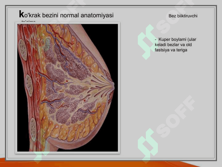 Ko'krak bezi kasalliklarining rentgen diagnostikasi 6