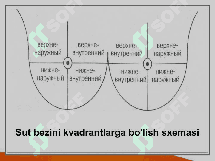 Ko'krak bezi kasalliklarining rentgen diagnostikasi 7