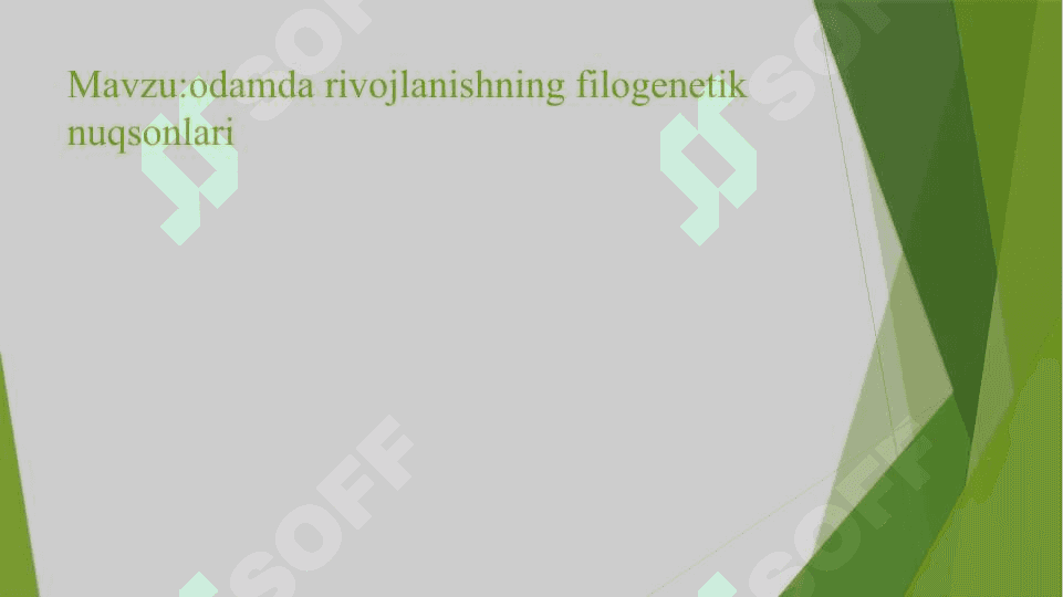 Filogenetik nuqsonlar 2